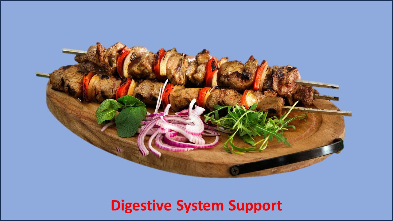 Digestive Support – Dr Baritz