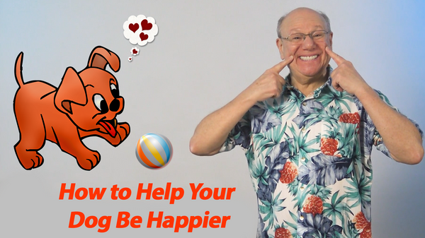 How to Help Your Dog Be Happier